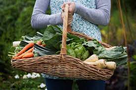 9 Money Saving Fruits And Vegetables To Plant In Your Garden
