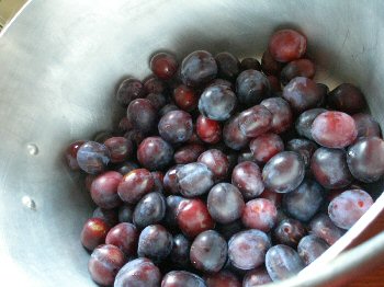 damson jam