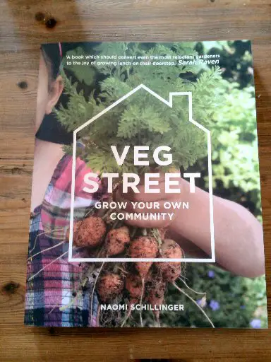 Veg Street by Naomi Schillinger
