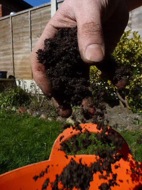 cutting down on multipurpose compost