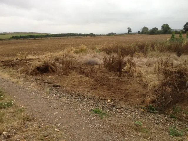 shall I use a rotovator on my allotment