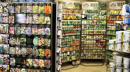 few tips for buying seeds