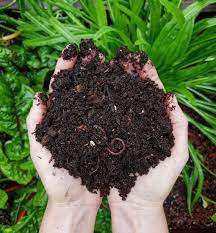 6 Tips For Composting Down Your Spent Crops