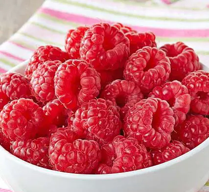 glen-ample-(summer Fruiting)-raspberries
