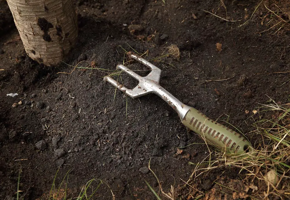 garden fork in the soil