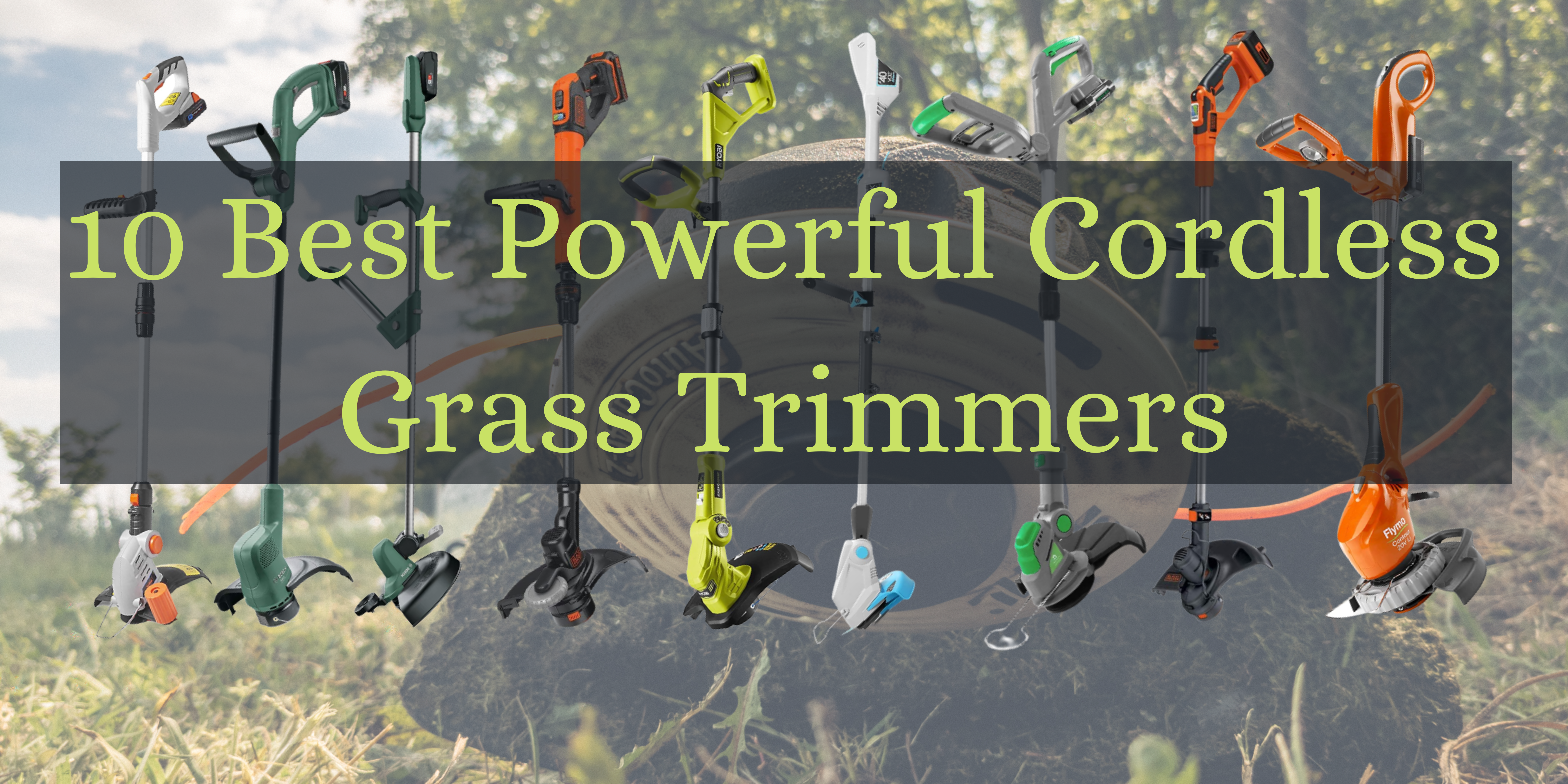 Best Cordless Strimmers