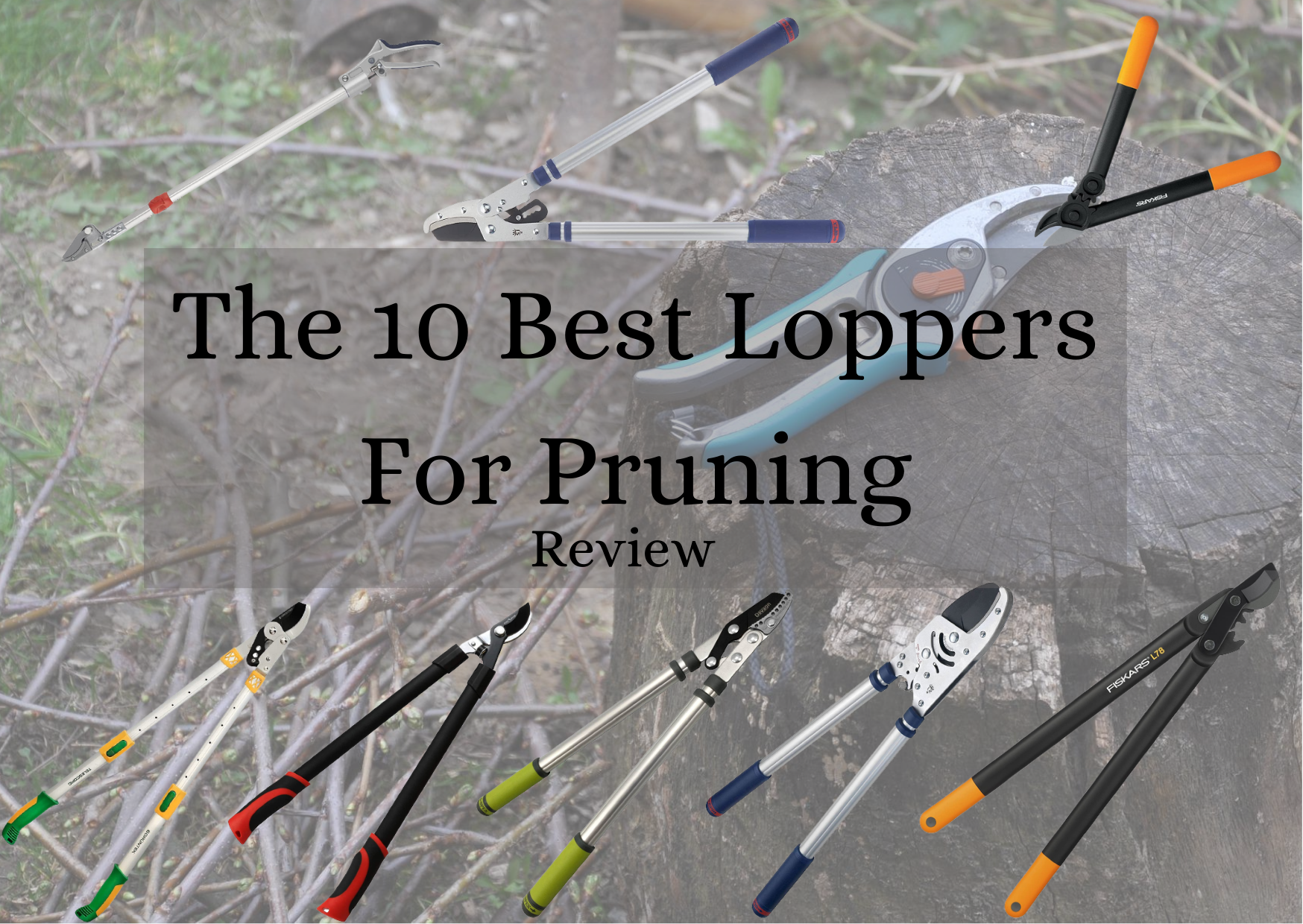 Best Loppers for Pruning