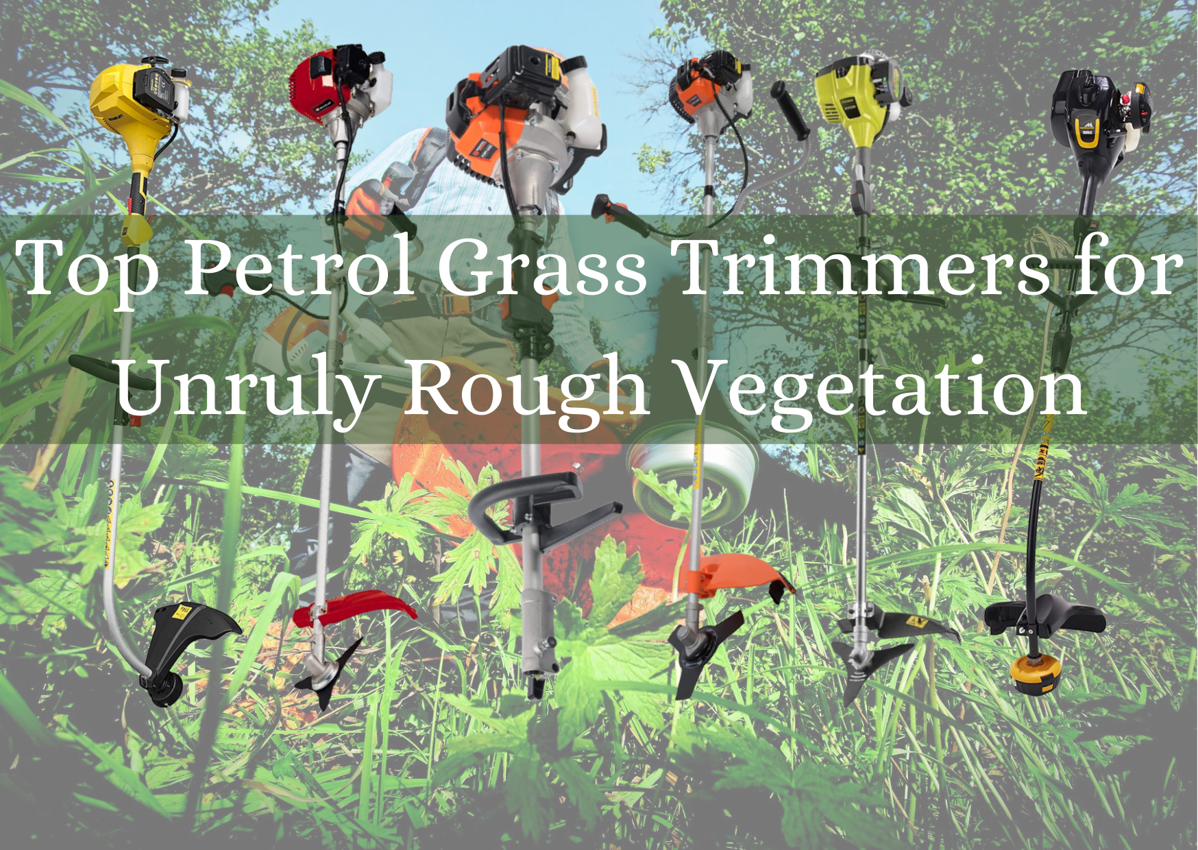 Best Petrol Grass Trimmers