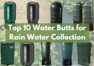 Top 10 Water Butts for Rain Water