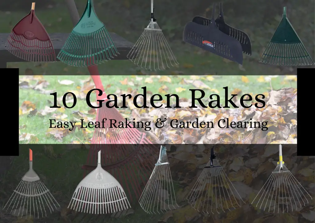 10 Garden Rakes for Easy Leaf Raking