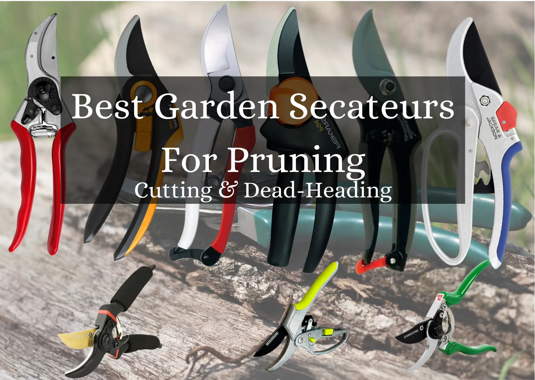 Best Garden Secateurs For Pruning