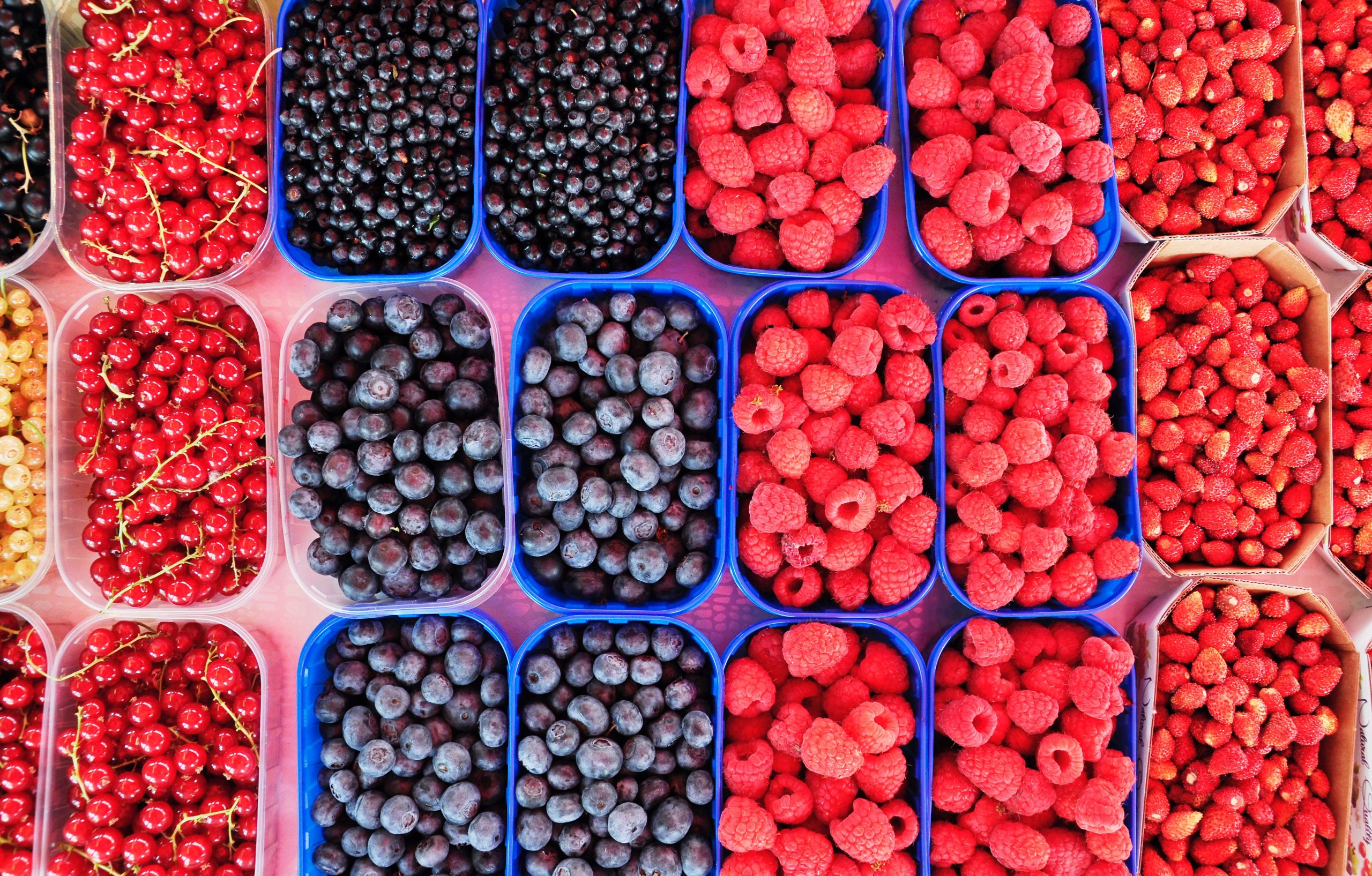 Creating a Soil Bed Fit for Fruits that Needs Acidic Soils