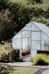 Greenhouse in Spring