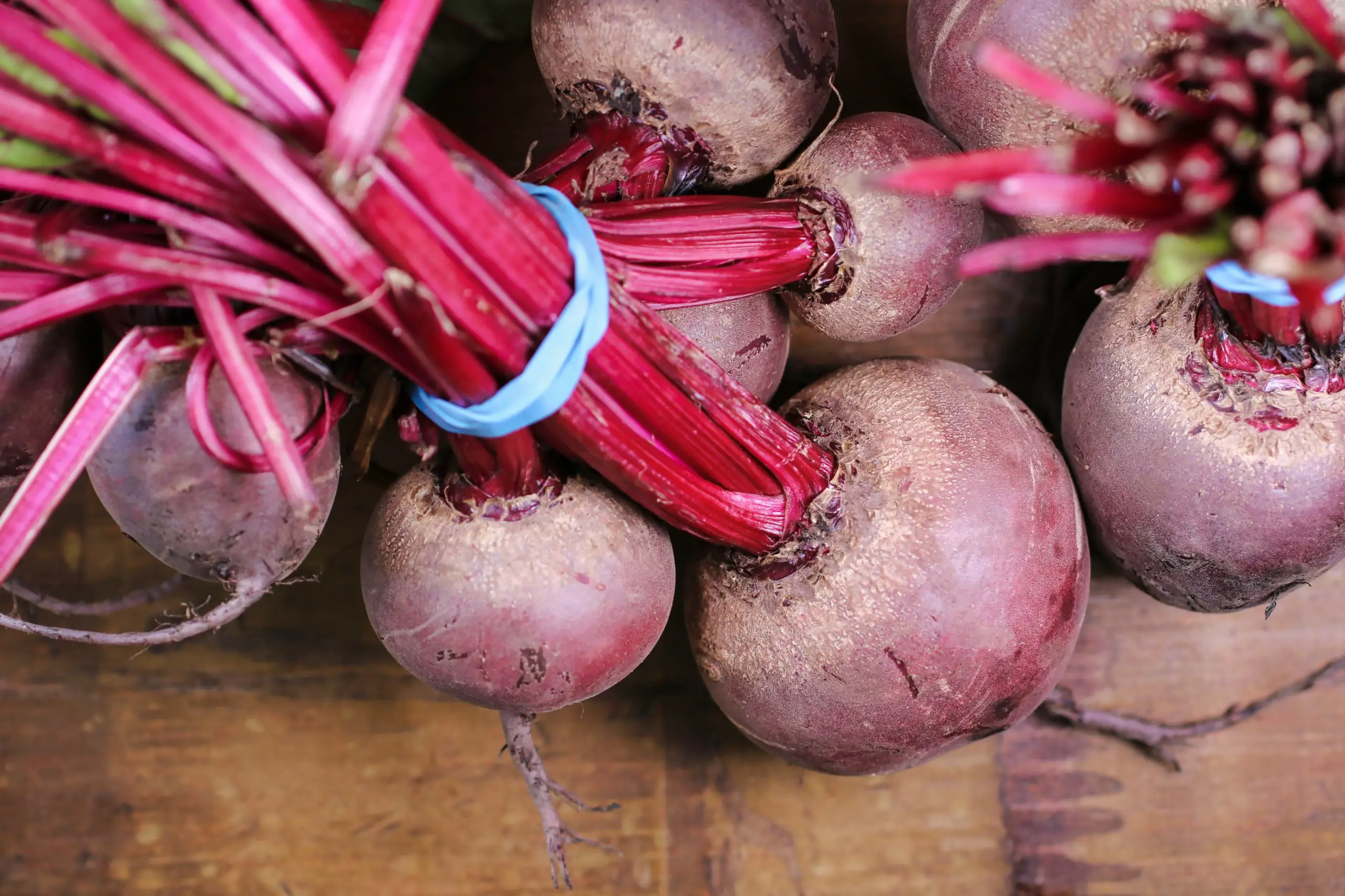 Guide to Growing Your Own Beetroot