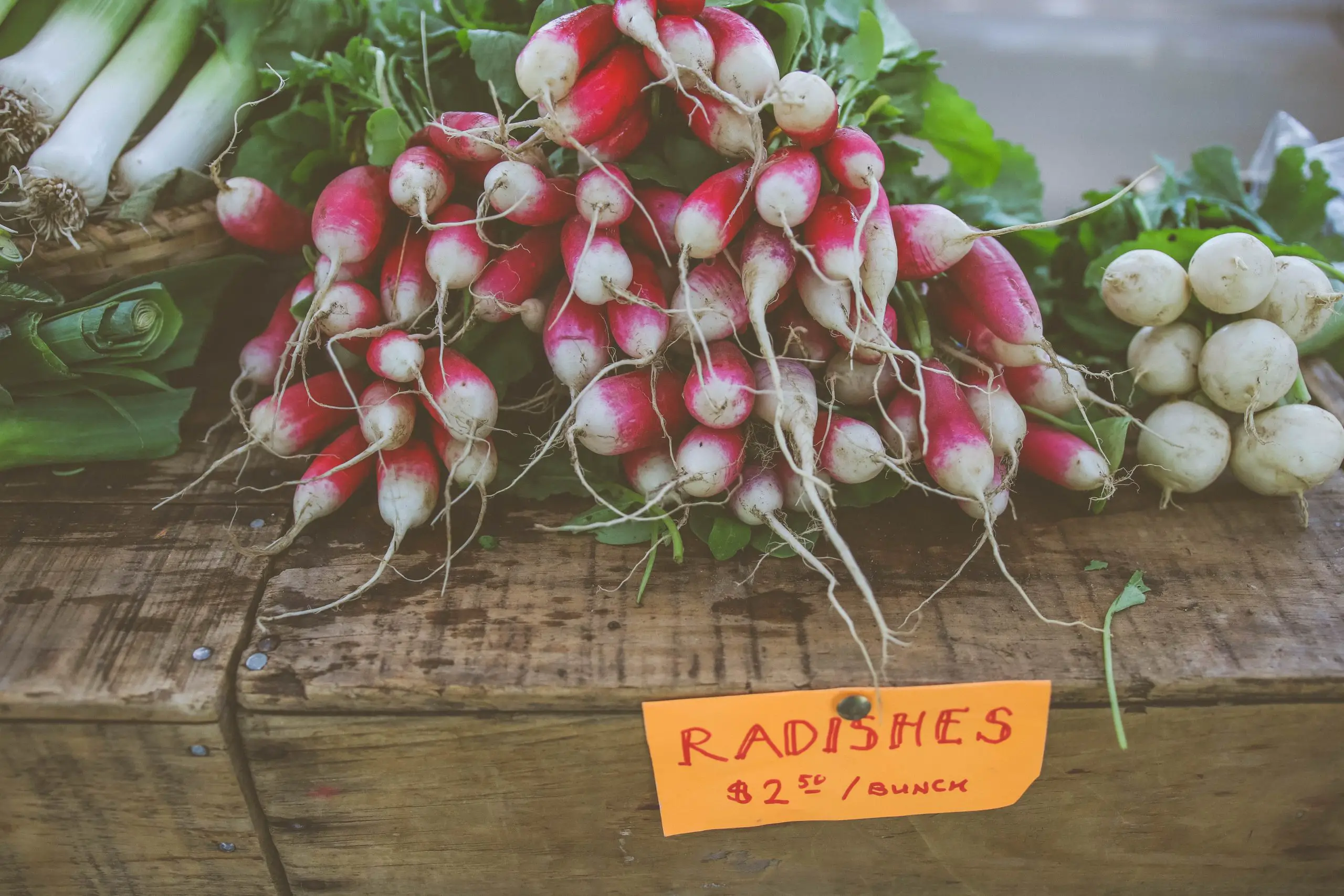 Guide to Growing Your Own Radishes