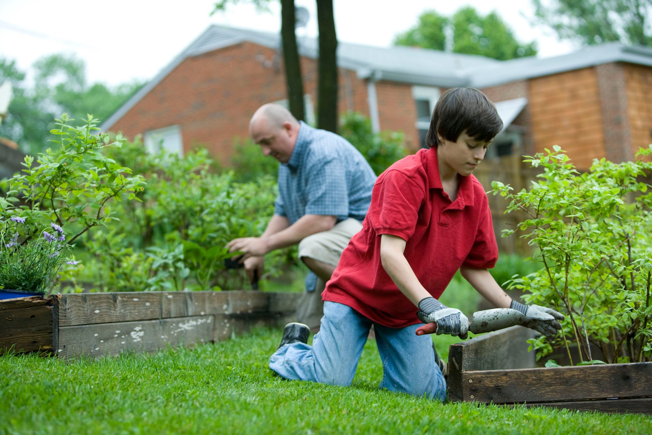 Things to Consider Before Starting Your Own Vegetable Garden