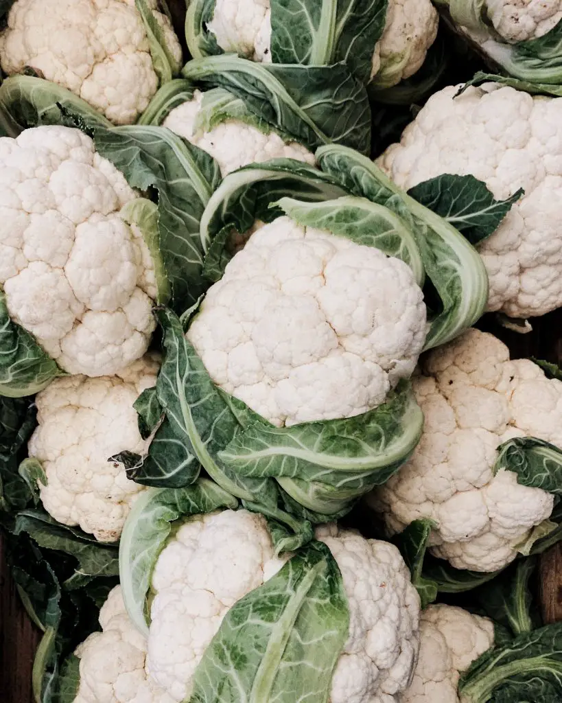 Guide to Growing Cauliflower