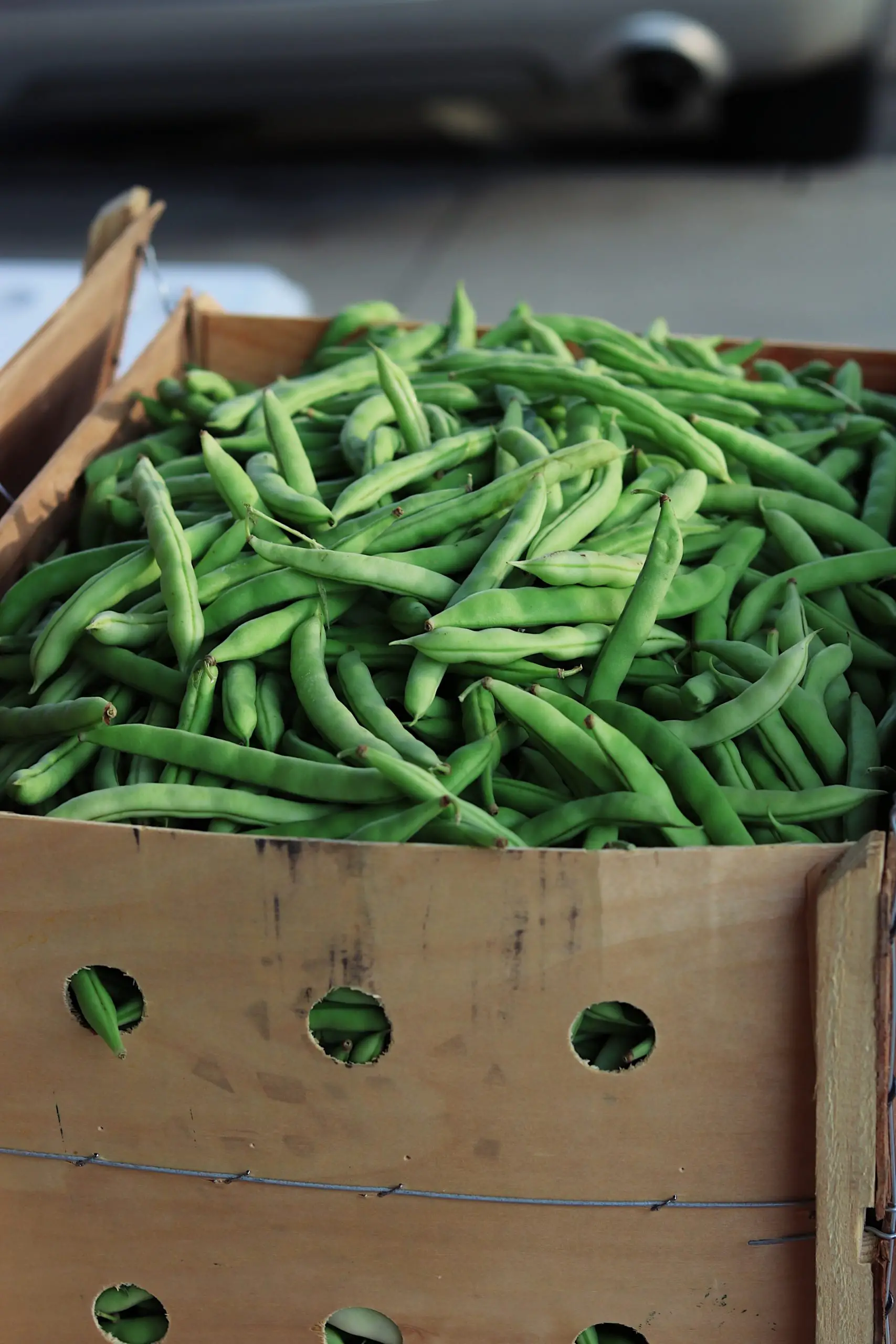 Guide to Growing Dwarf French Beans