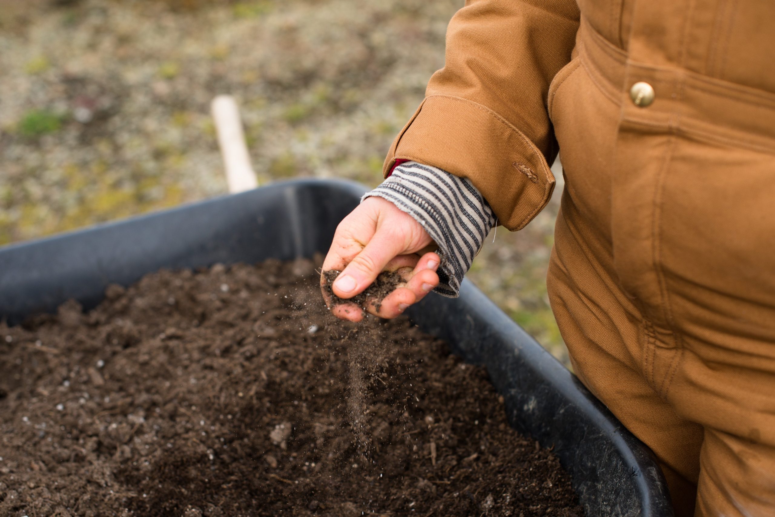 Soil in hand