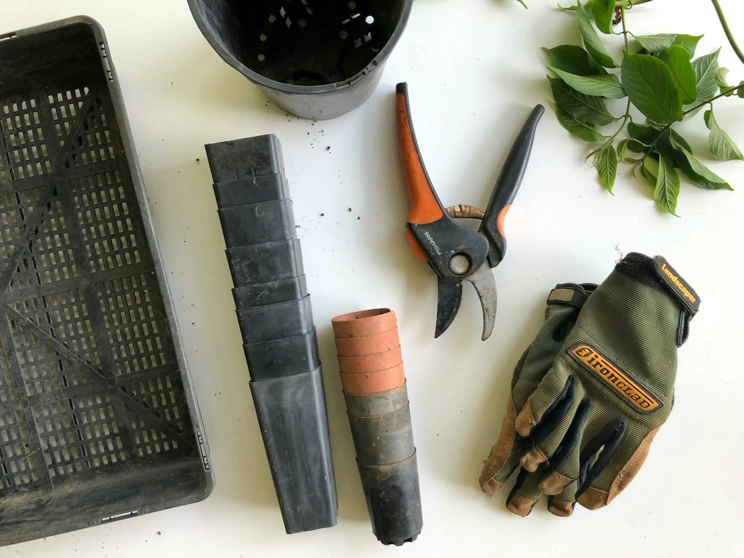 Gardening Tools: Maintenance and Care