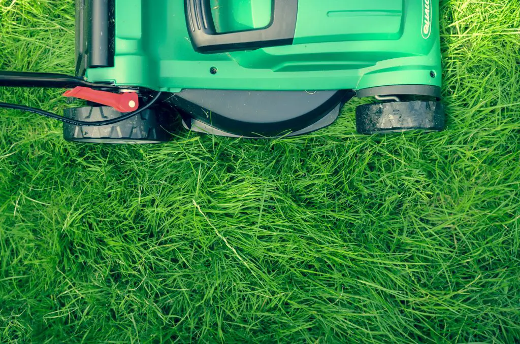Lawn Scarifier What is it and How to use it