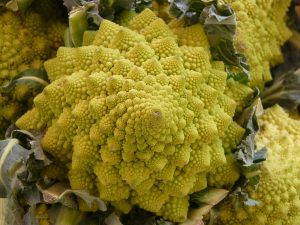 Romanesco