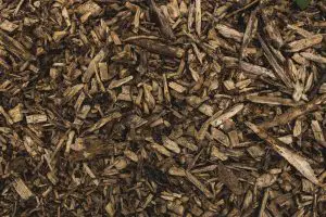 Wood Chippings