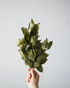 dried bay leaves