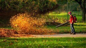 powerful petrol leaf blower