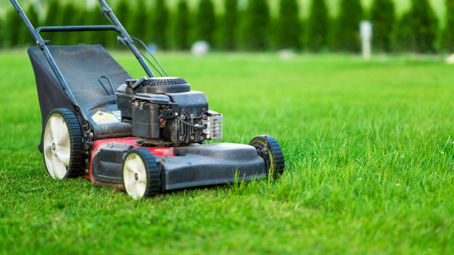 lawn mower on lawn