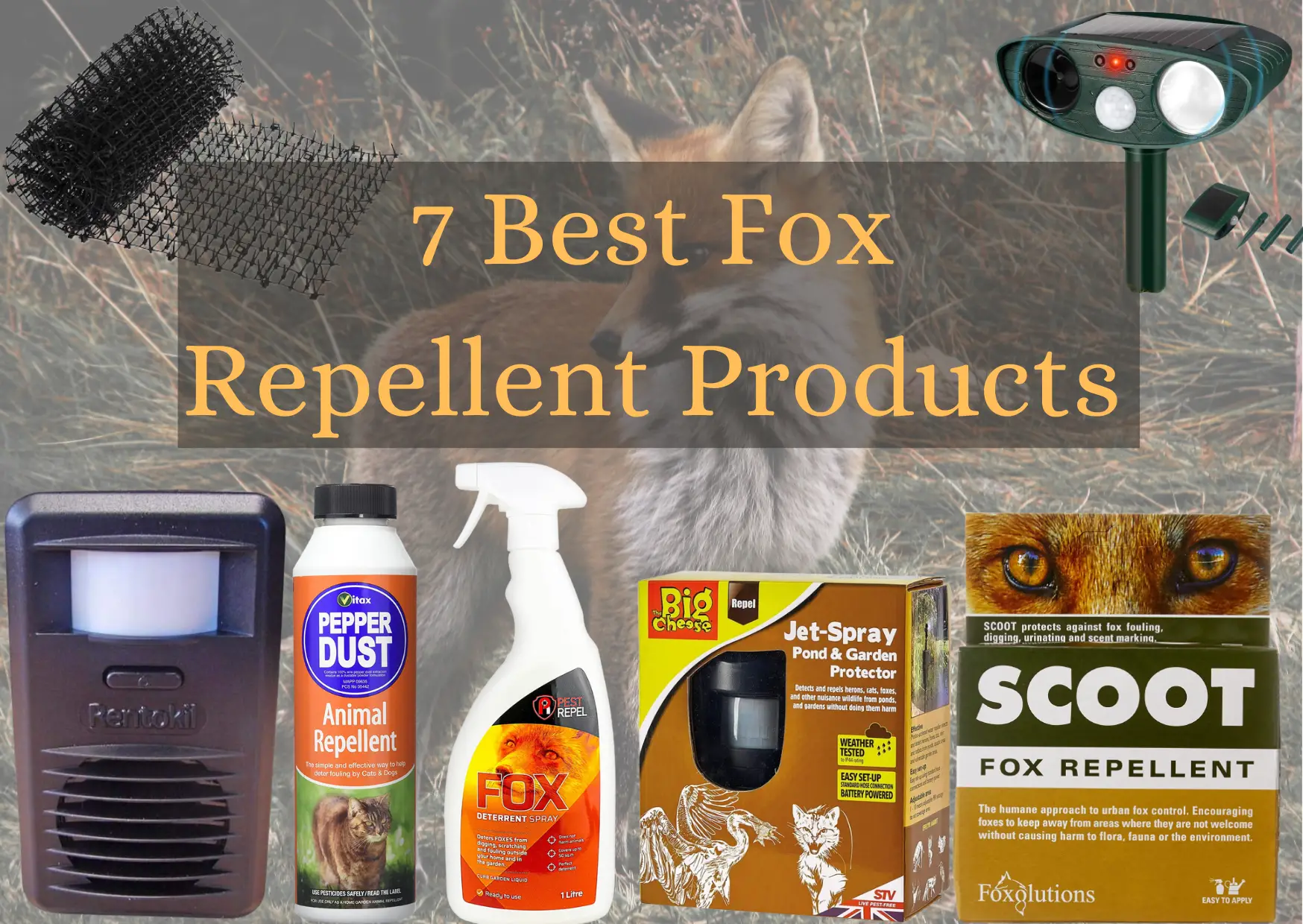 Best Fox Repellent Product