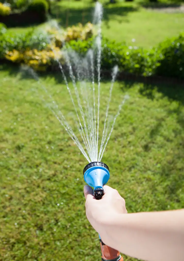 water lawn with garden hose