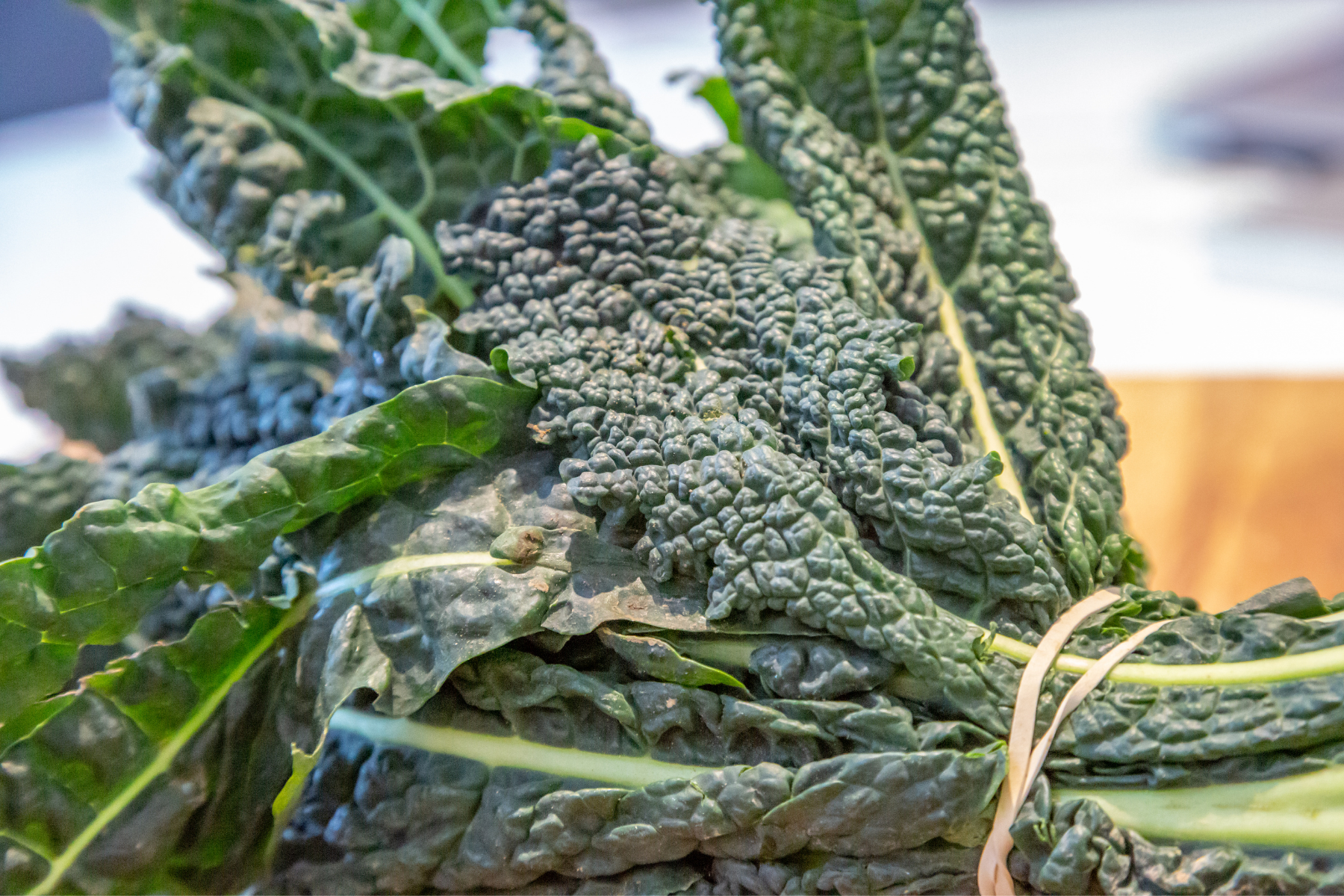 cavolo nero grown