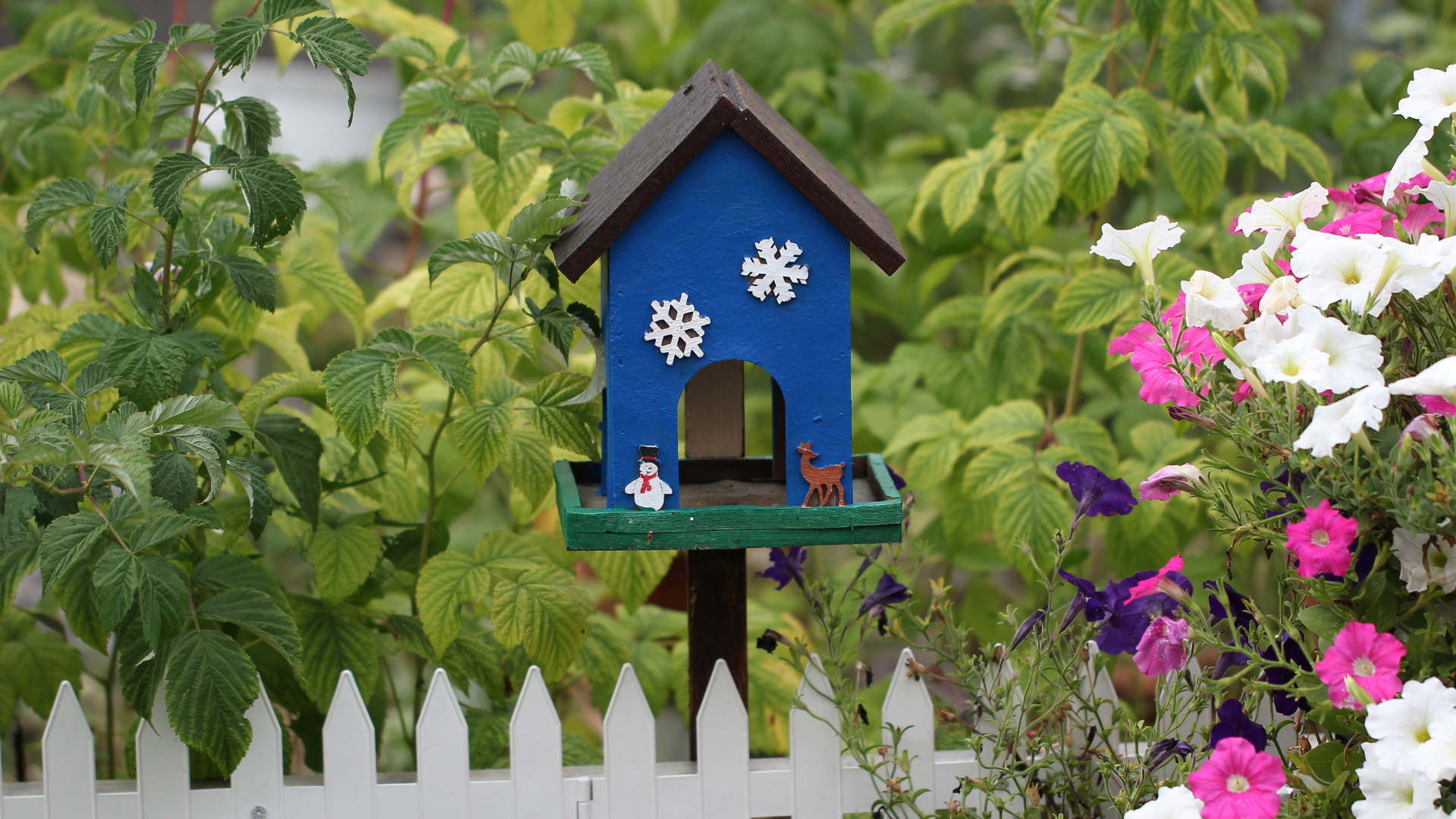 blue bird table