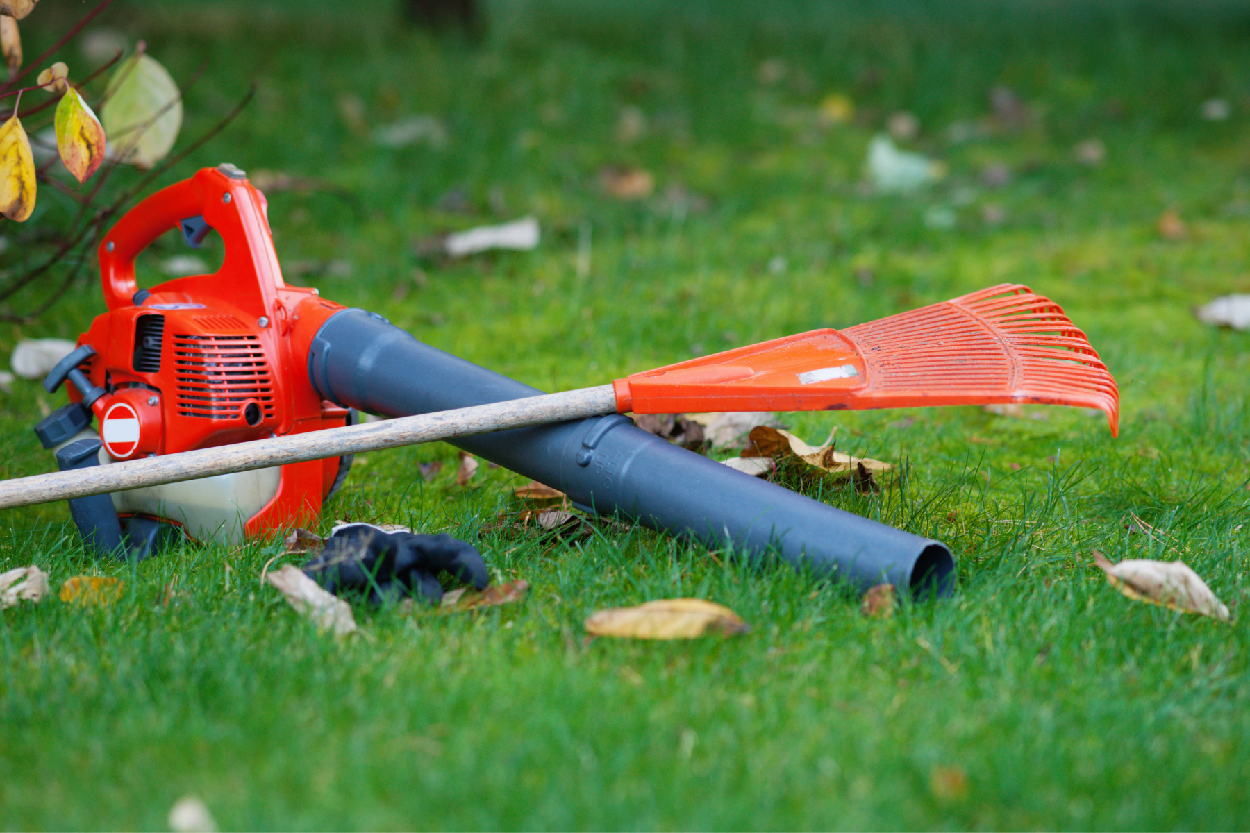 leaf blower and rake