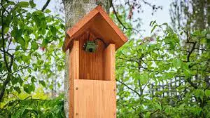 7 Best Bird Box Camera Product Reviews In The Uk (2023)