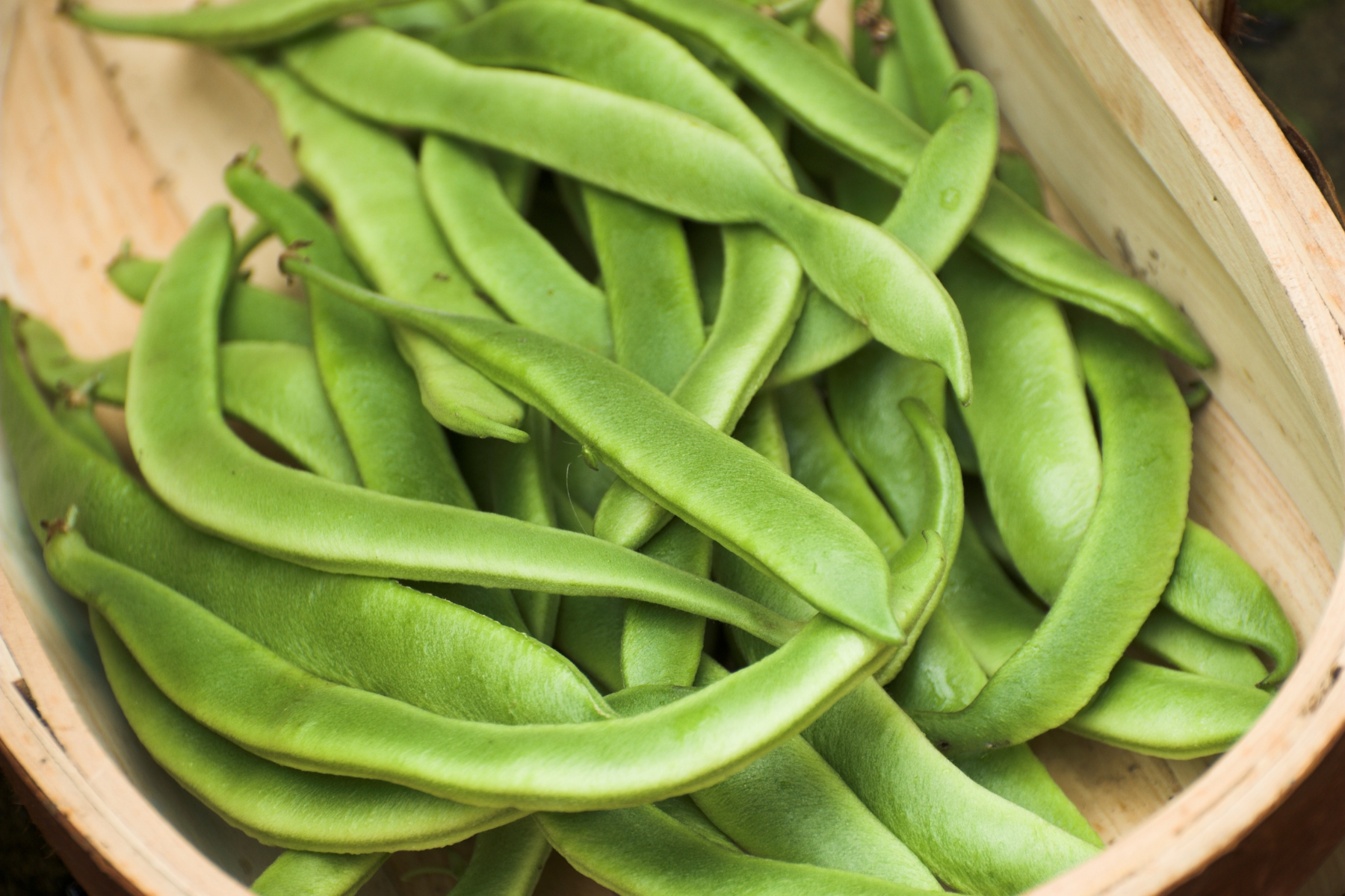 runner beans