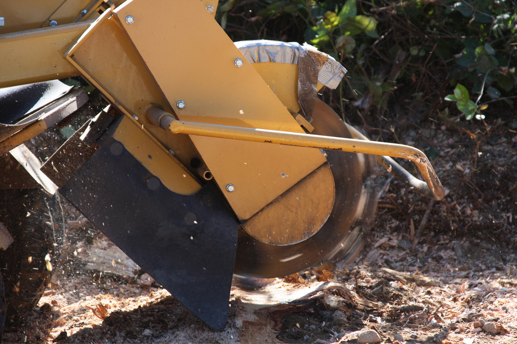 stump grinder