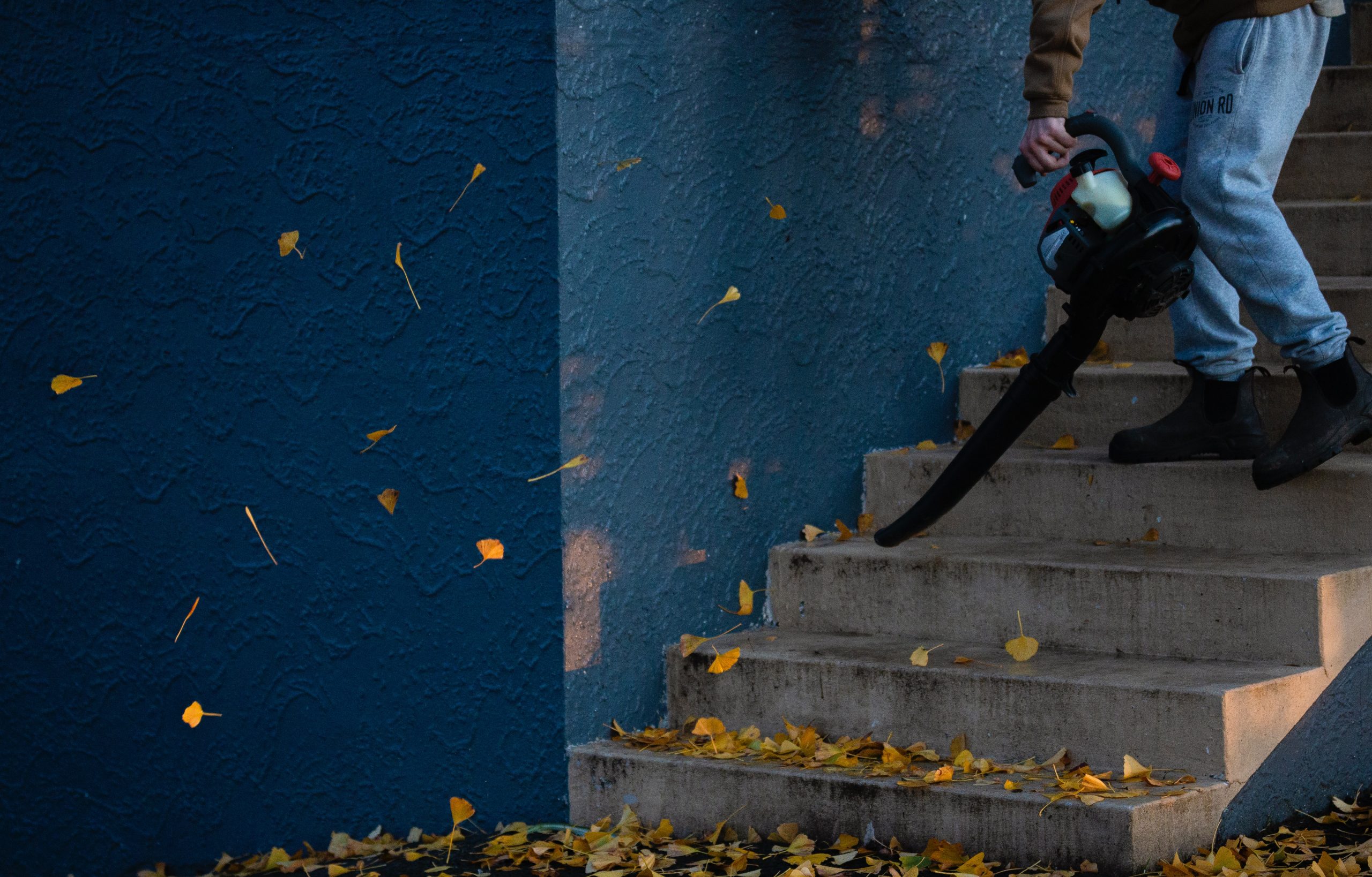 leaf blowers illegal