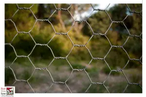 chicken wire