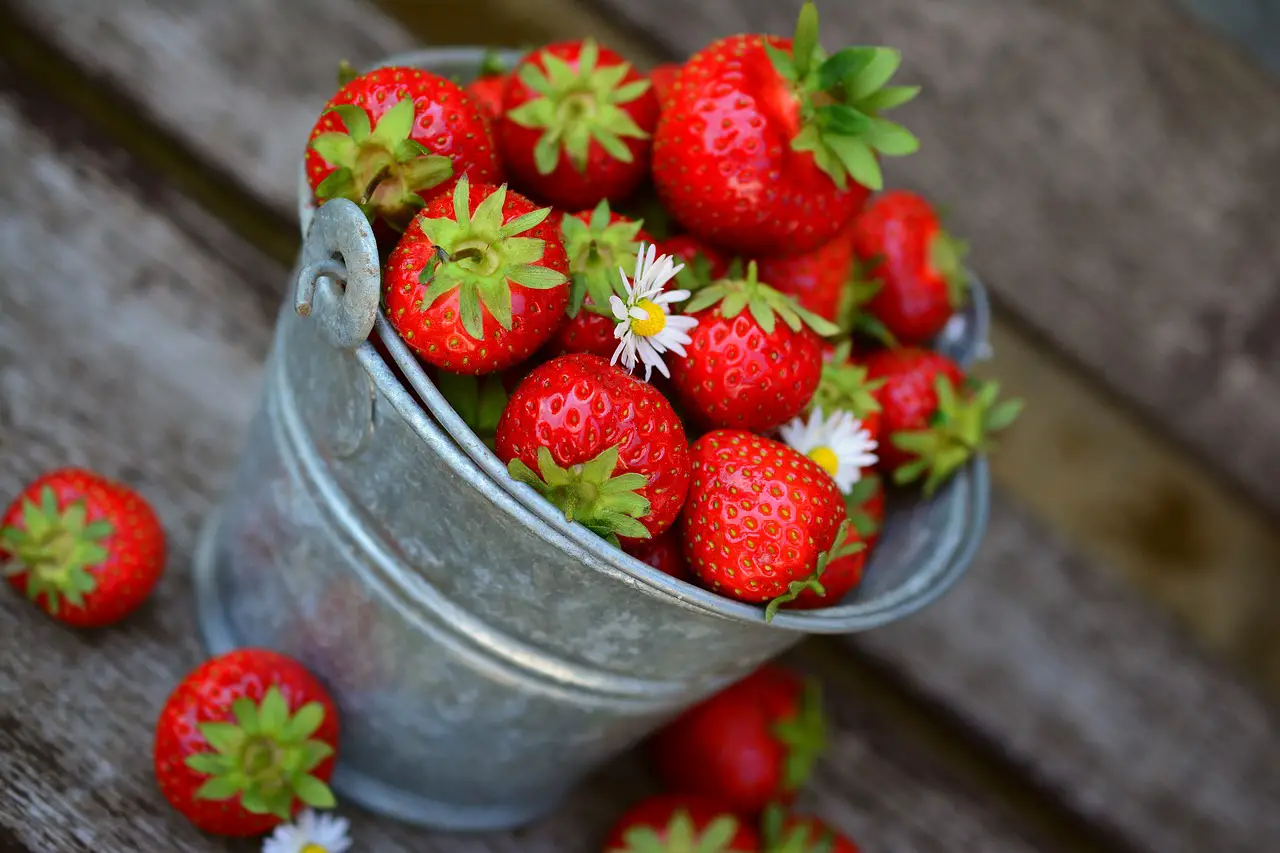 Easy Fruits to Grow for Beginner Gardeners