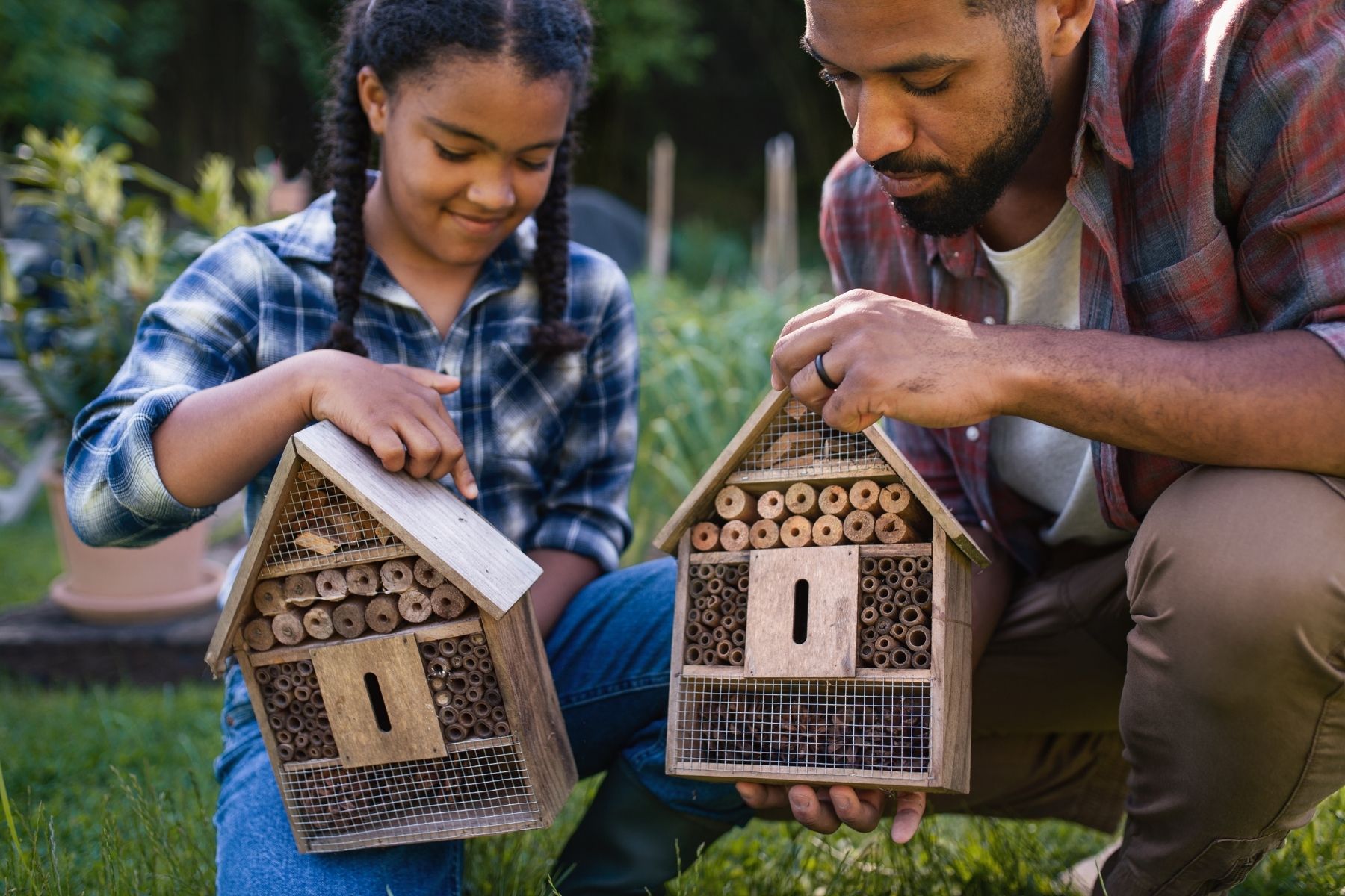 Can Bug Hotel