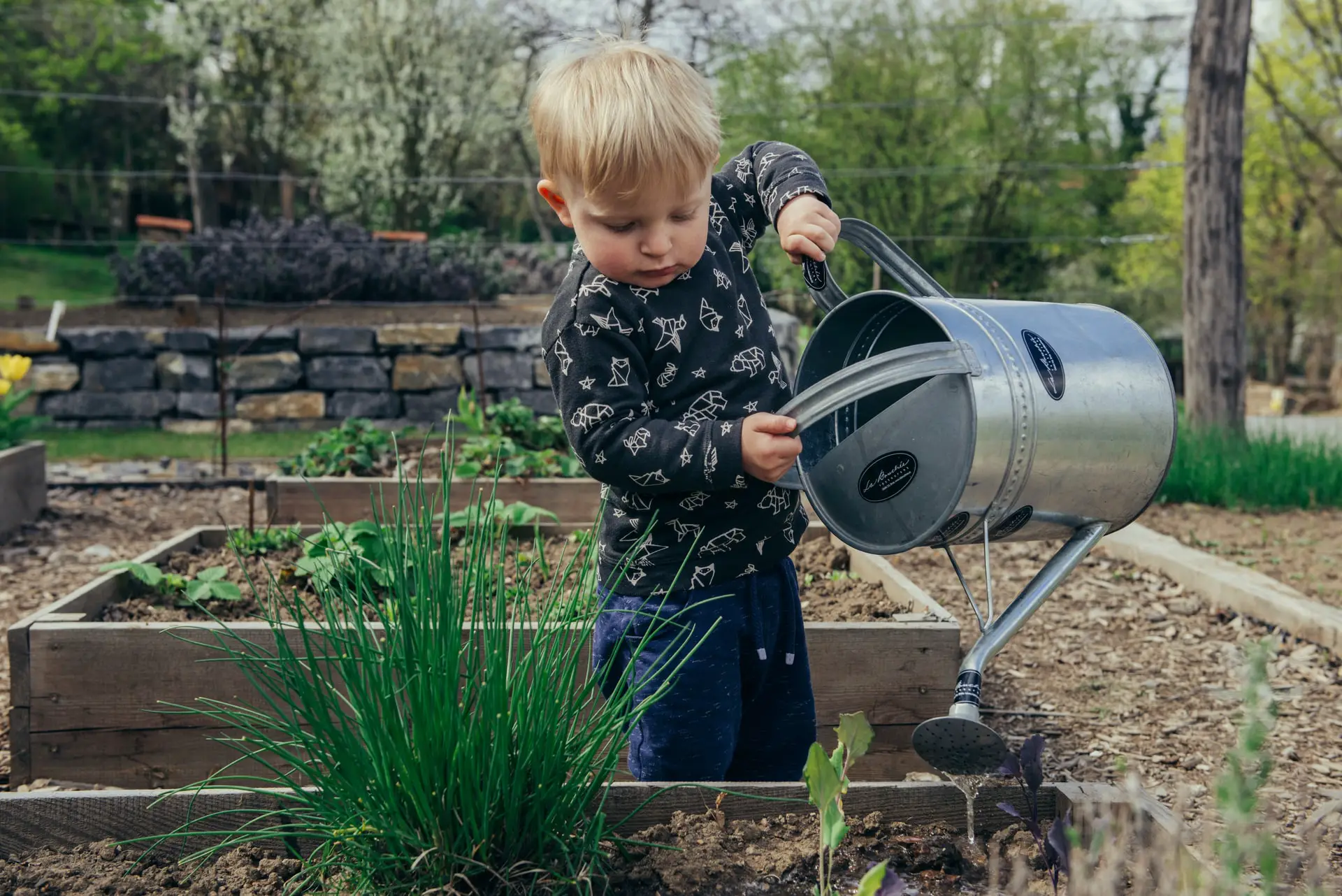 Keeping Kids: Engaged Simple Garden Projects