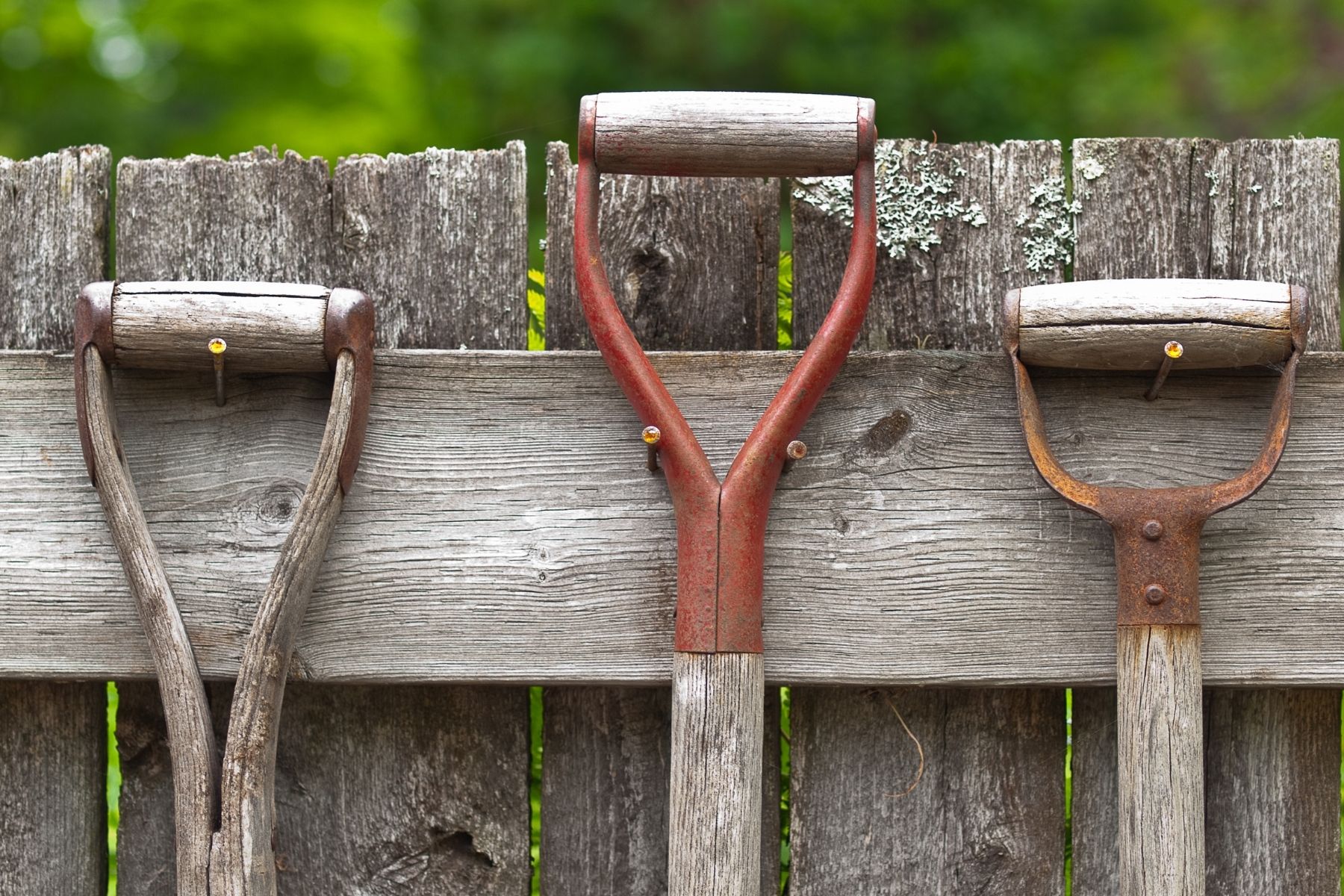 wooden handled garden tools