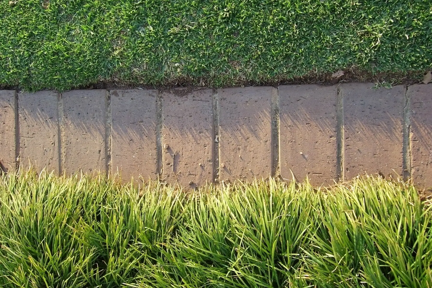 lawn edging with brick
