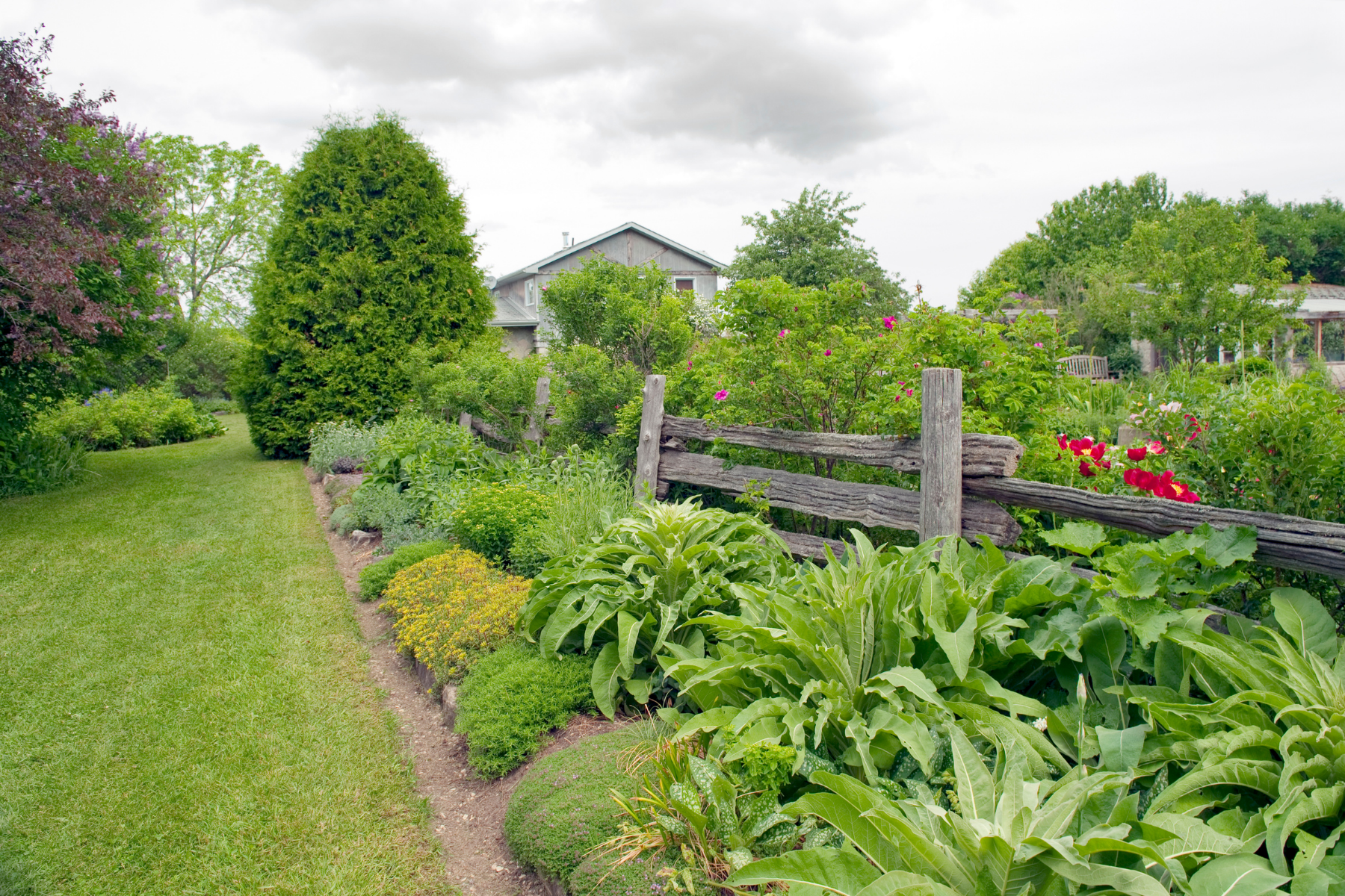 Create Garden Border