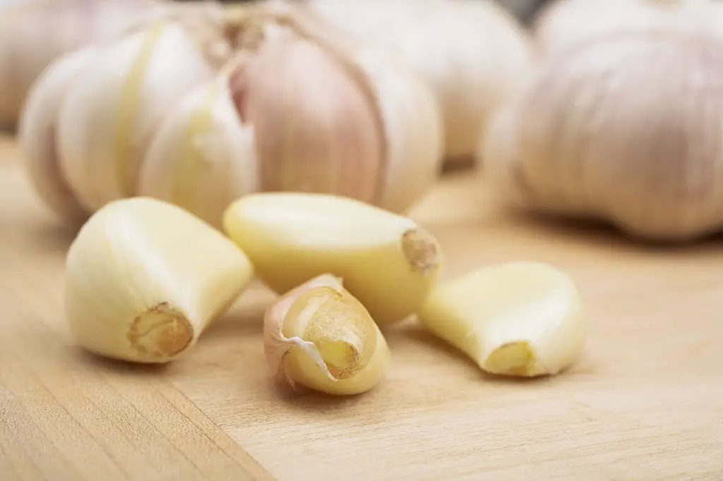 garlic varieties