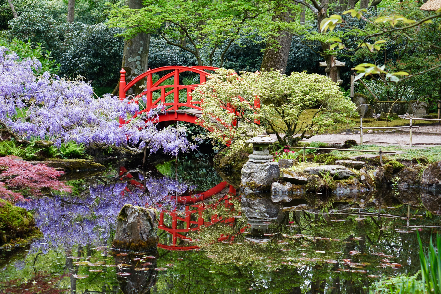 Japanese garden