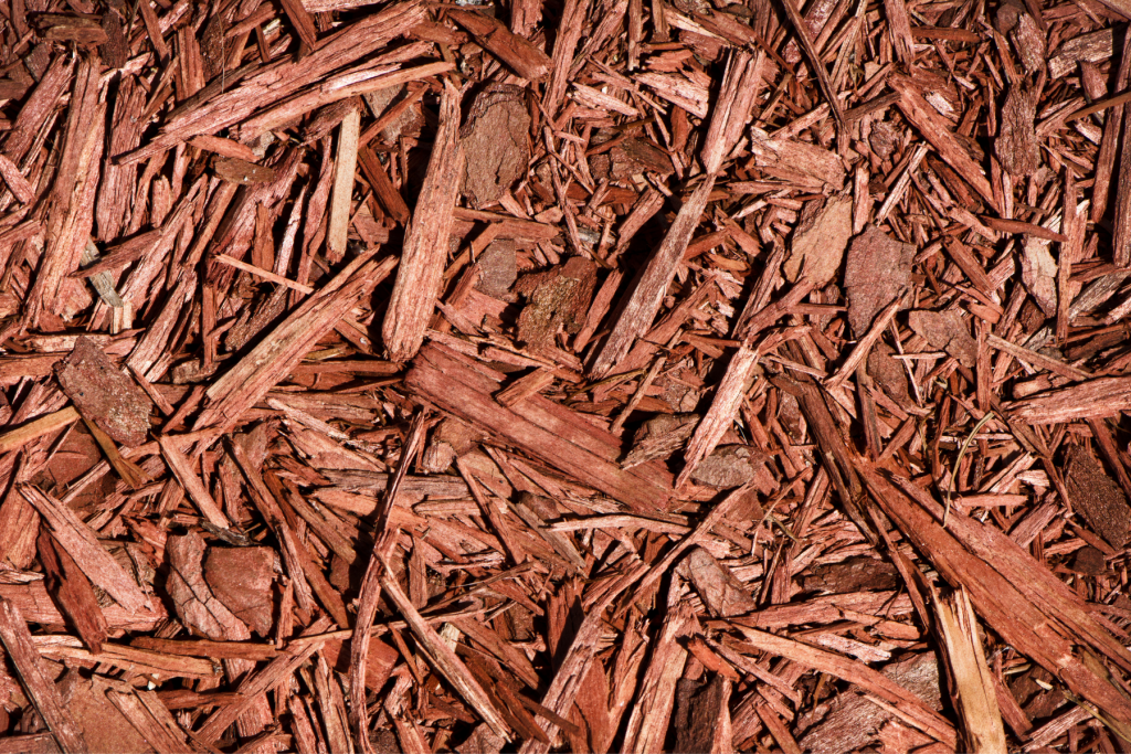 Cedar Mulch Should You Use It In The Garden Real Men Sow