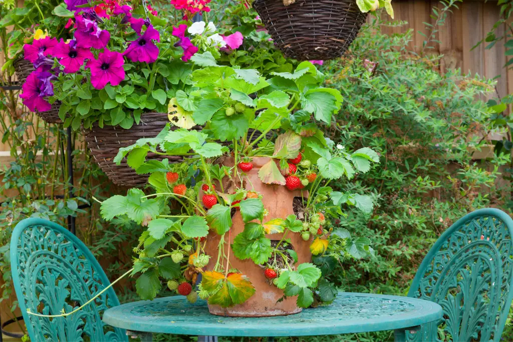 diy strawberry planters